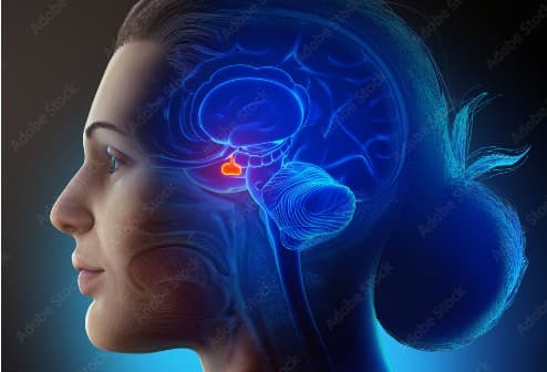 Pituitary Disorder Management
