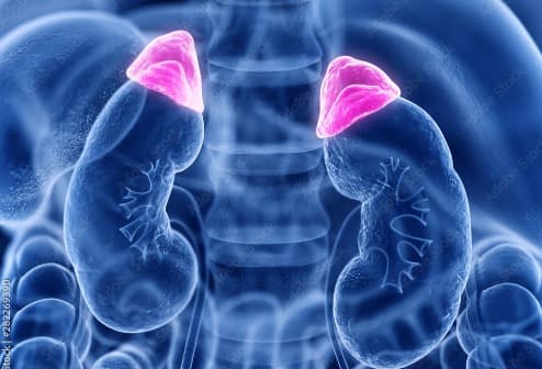 Adrenal Disorder Management
